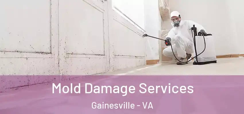  Mold Damage Services Gainesville - VA