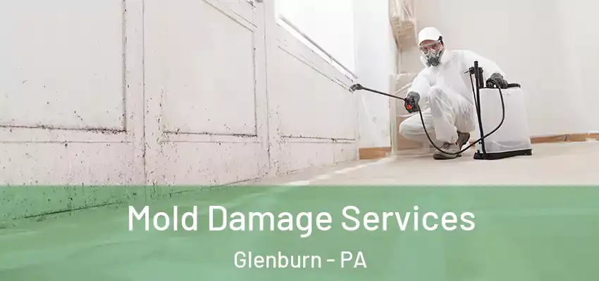 Mold Damage Services Glenburn - PA