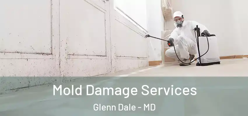 Mold Damage Services Glenn Dale - MD