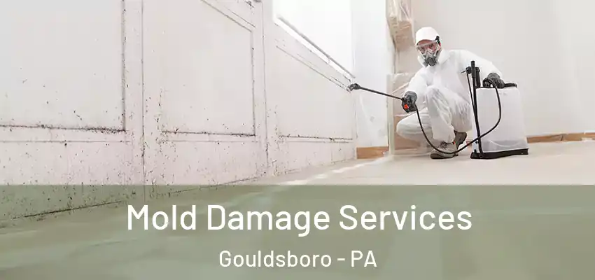 Mold Damage Services Gouldsboro - PA