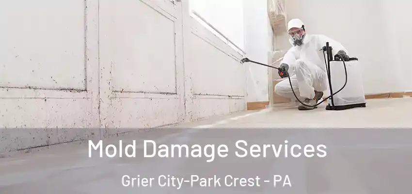 Mold Damage Services Grier City-Park Crest - PA