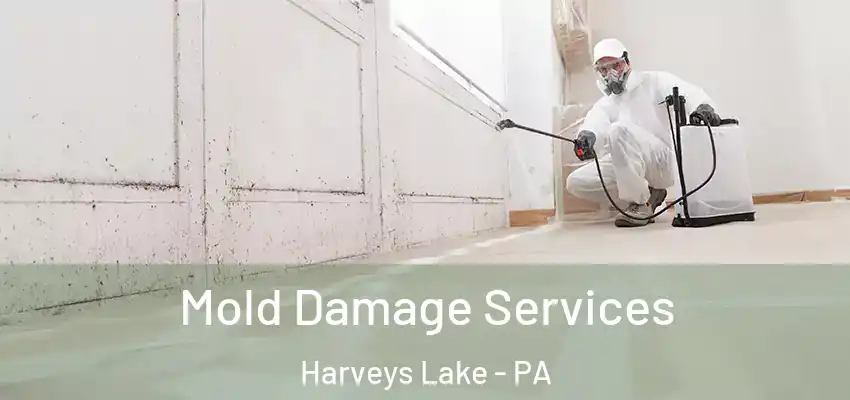 Mold Damage Services Harveys Lake - PA