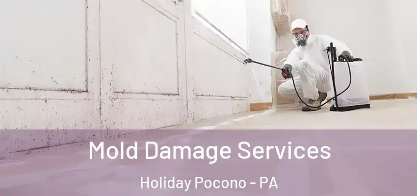 Mold Damage Services Holiday Pocono - PA
