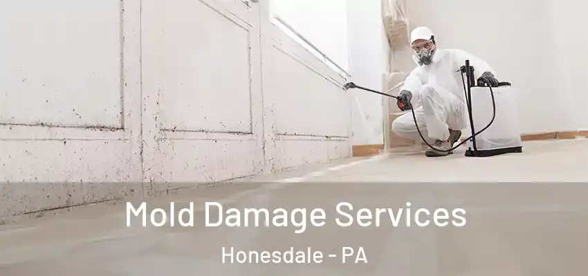 Mold Damage Services Honesdale - PA