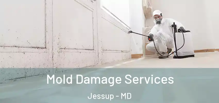 Mold Damage Services Jessup - MD