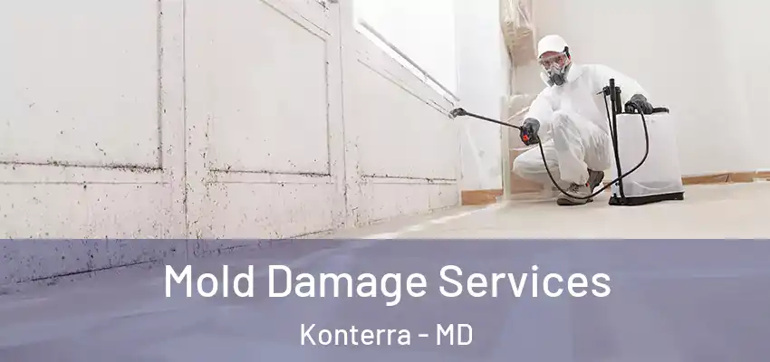  Mold Damage Services Konterra - MD