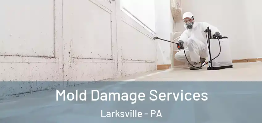 Mold Damage Services Larksville - PA