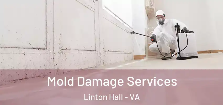 Mold Damage Services Linton Hall - VA