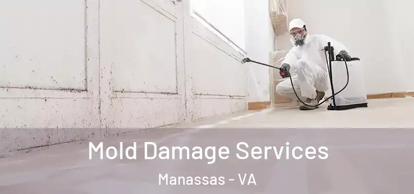  Mold Damage Services Manassas - VA