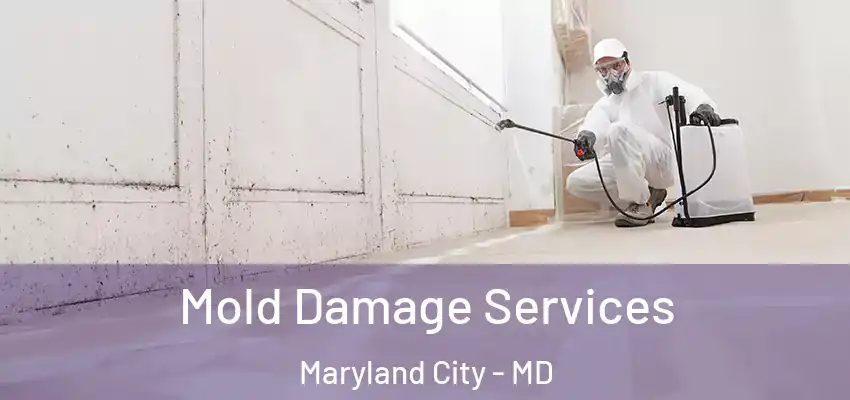 Mold Damage Services Maryland City - MD