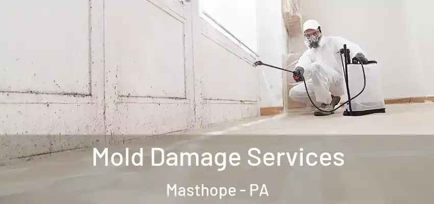 Mold Damage Services Masthope - PA