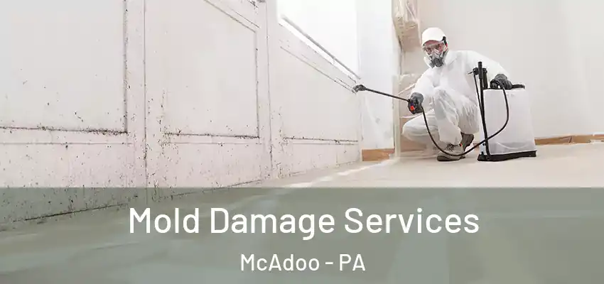 Mold Damage Services McAdoo - PA