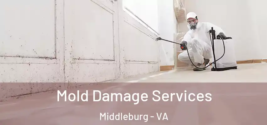  Mold Damage Services Middleburg - VA