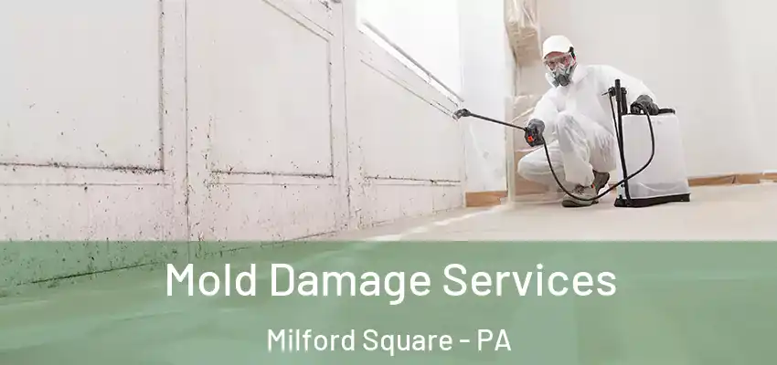 Mold Damage Services Milford Square - PA