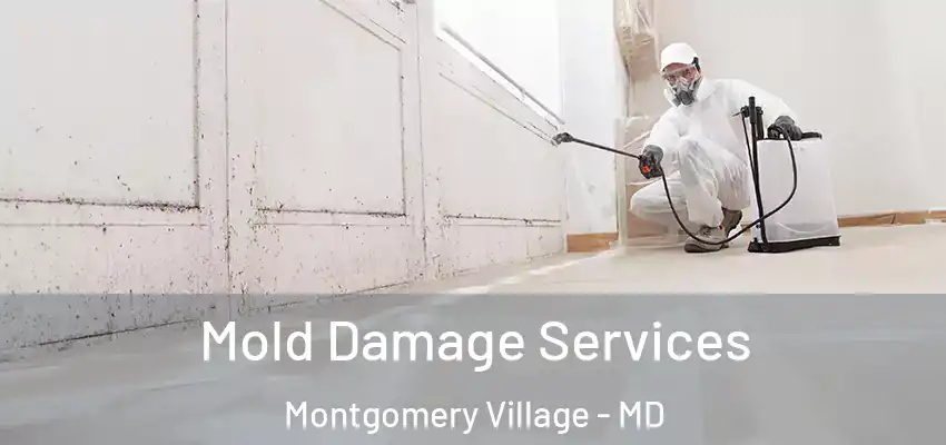 Mold Damage Services Montgomery Village - MD