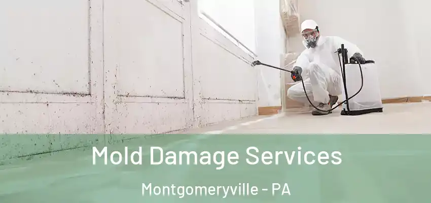 Mold Damage Services Montgomeryville - PA