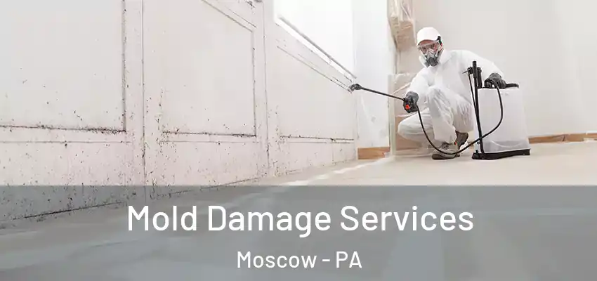 Mold Damage Services Moscow - PA