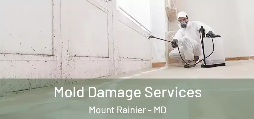 Mold Damage Services Mount Rainier - MD