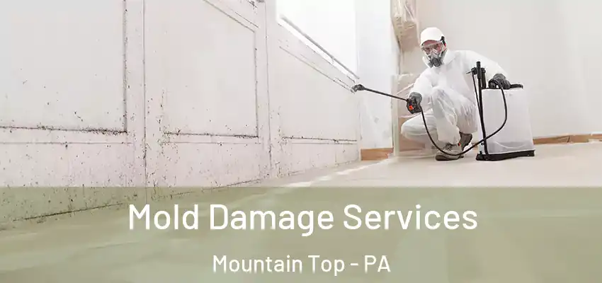 Mold Damage Services Mountain Top - PA