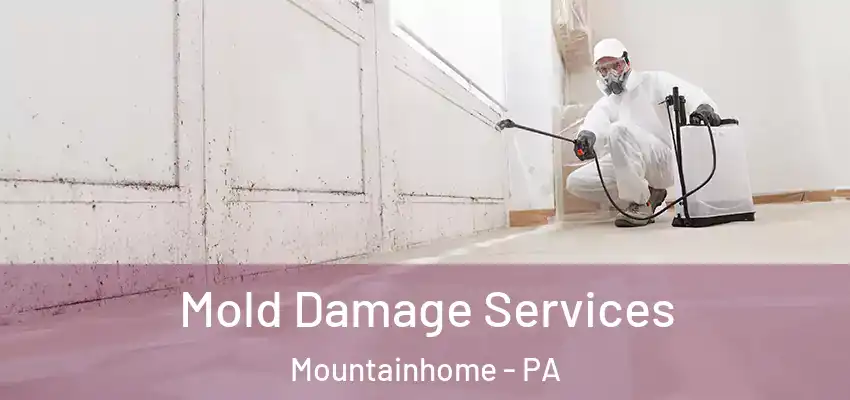 Mold Damage Services Mountainhome - PA