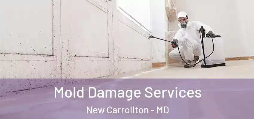 Mold Damage Services New Carrollton - MD