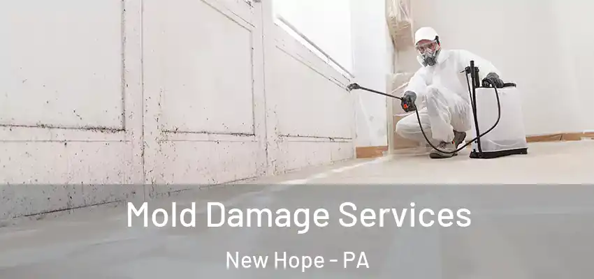 Mold Damage Services New Hope - PA