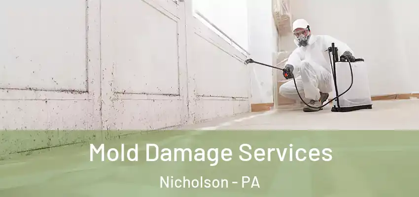Mold Damage Services Nicholson - PA