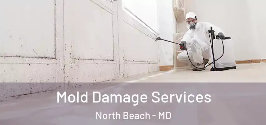Mold Damage Services North Beach - MD