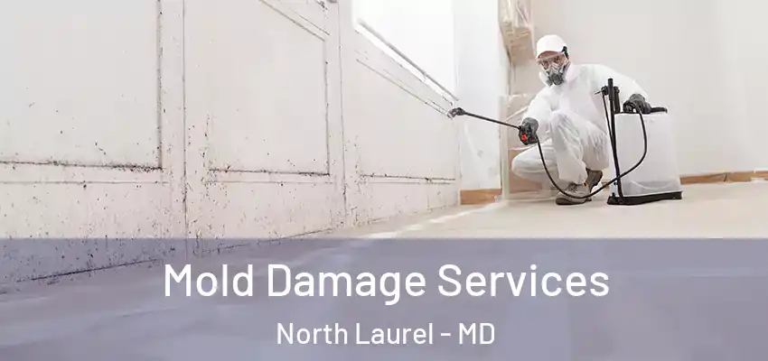 Mold Damage Services North Laurel - MD