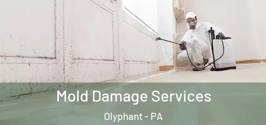 Mold Damage Services Olyphant - PA