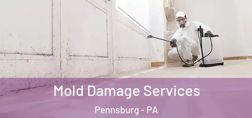Mold Damage Services Pennsburg - PA
