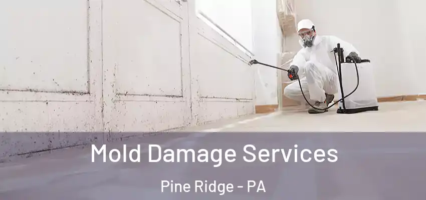 Mold Damage Services Pine Ridge - PA