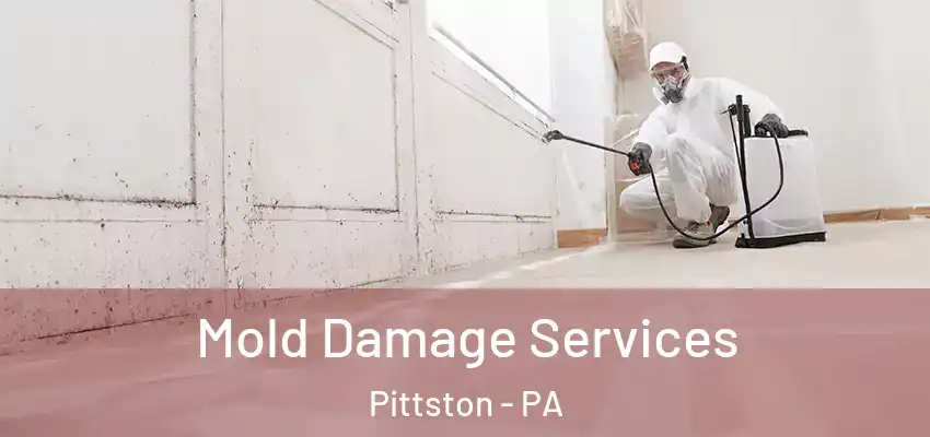 Mold Damage Services Pittston - PA
