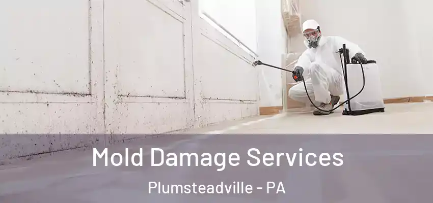Mold Damage Services Plumsteadville - PA