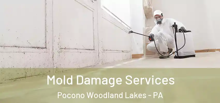 Mold Damage Services Pocono Woodland Lakes - PA