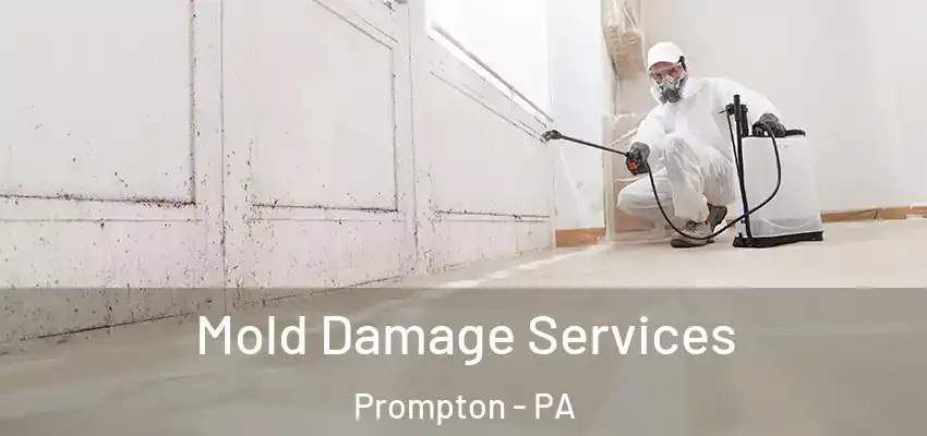 Mold Damage Services Prompton - PA