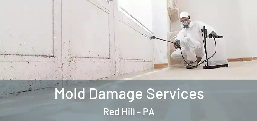 Mold Damage Services Red Hill - PA