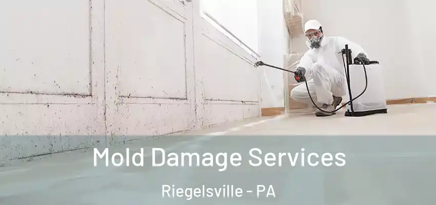 Mold Damage Services Riegelsville - PA
