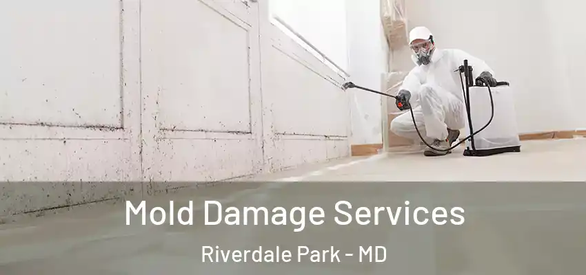 Mold Damage Services Riverdale Park - MD