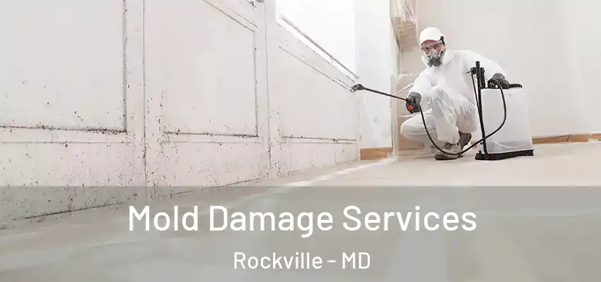 Mold Damage Services Rockville - MD