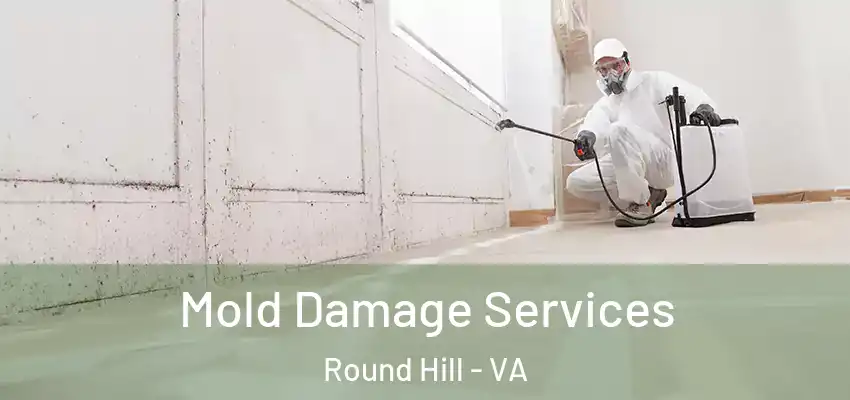  Mold Damage Services Round Hill - VA