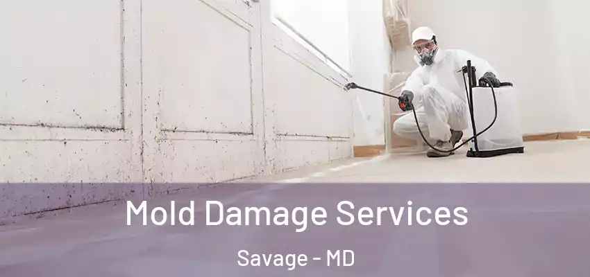 Mold Damage Services Savage - MD