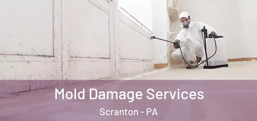 Mold Damage Services Scranton - PA