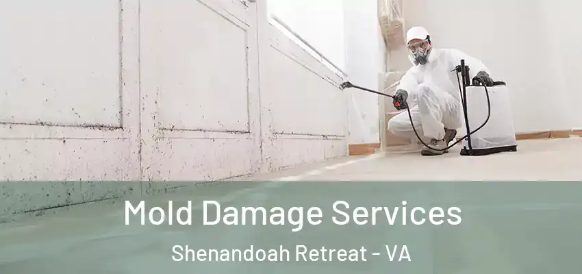  Mold Damage Services Shenandoah Retreat - VA