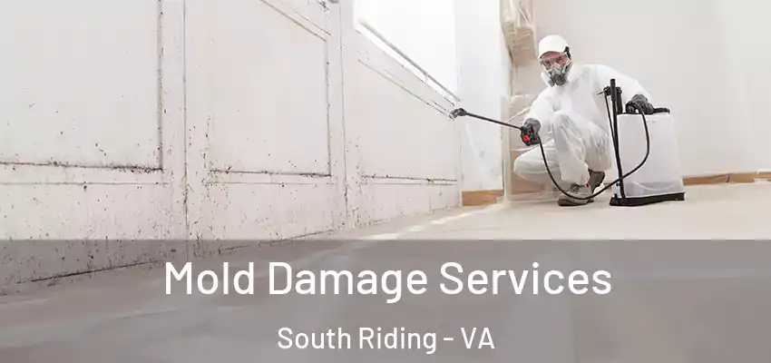 Mold Damage Services South Riding - VA