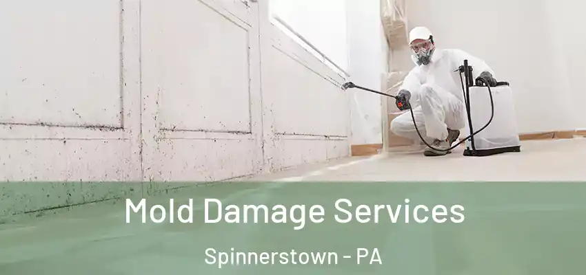 Mold Damage Services Spinnerstown - PA
