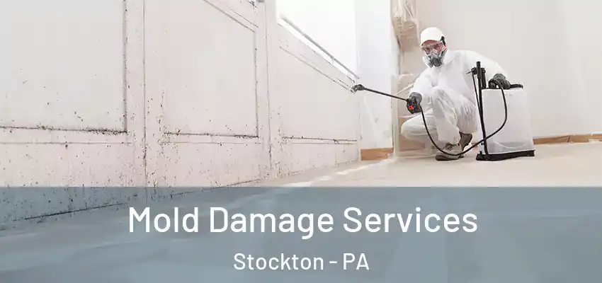 Mold Damage Services Stockton - PA