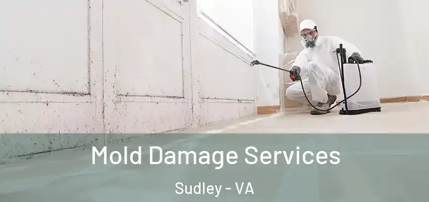  Mold Damage Services Sudley - VA