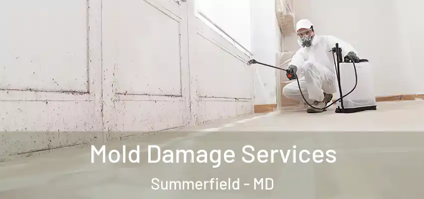 Mold Damage Services Summerfield - MD