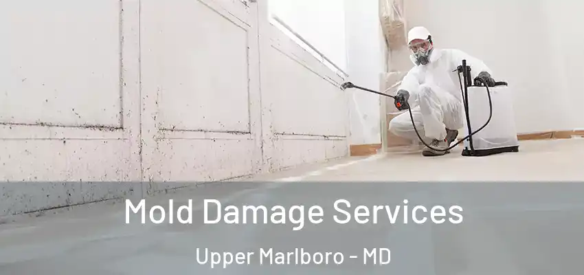 Mold Damage Services Upper Marlboro - MD